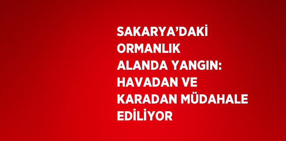 SAKARYA’DAKİ ORMANLIK ALANDA YANGIN: HAVADAN VE KARADAN MÜDAHALE EDİLİYOR