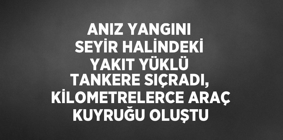ANIZ YANGINI SEYİR HALİNDEKİ YAKIT YÜKLÜ TANKERE SIÇRADI, KİLOMETRELERCE ARAÇ KUYRUĞU OLUŞTU