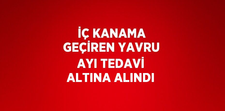 İÇ KANAMA GEÇİREN YAVRU AYI TEDAVİ ALTINA ALINDI