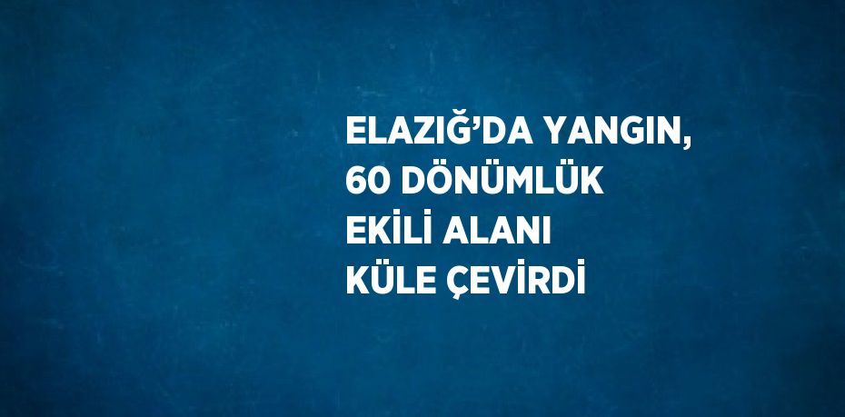 ELAZIĞ’DA YANGIN, 60 DÖNÜMLÜK EKİLİ ALANI KÜLE ÇEVİRDİ