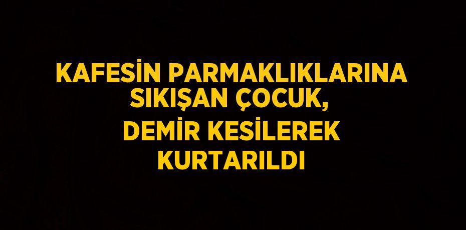 KAFESİN PARMAKLIKLARINA SIKIŞAN ÇOCUK, DEMİR KESİLEREK KURTARILDI