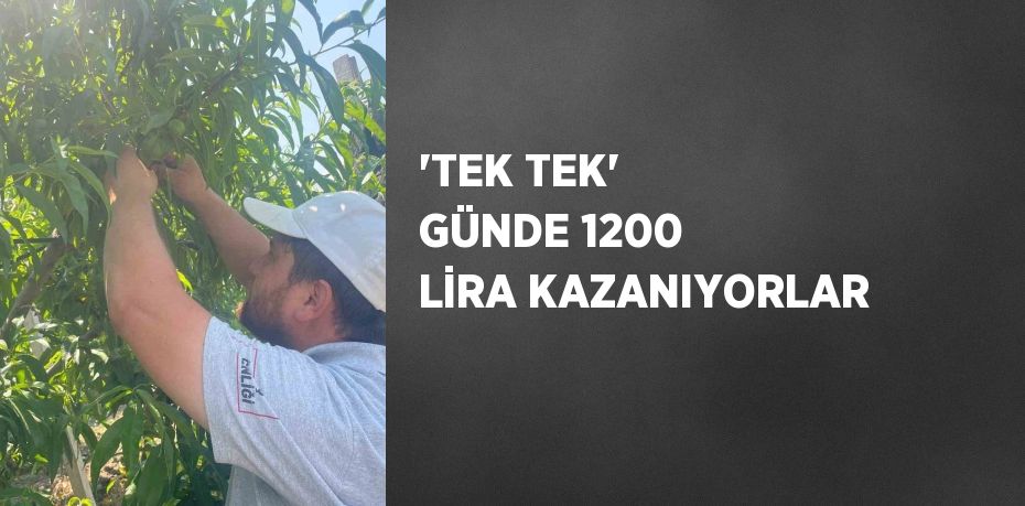 'TEK TEK' GÜNDE 1200 LİRA KAZANIYORLAR