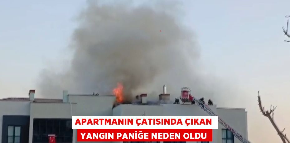 APARTMANIN ÇATISINDA ÇIKAN YANGIN PANİĞE NEDEN OLDU