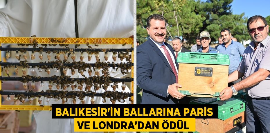 BALIKESİR’İN BALLARINA PARİS VE LONDRA’DAN ÖDÜL