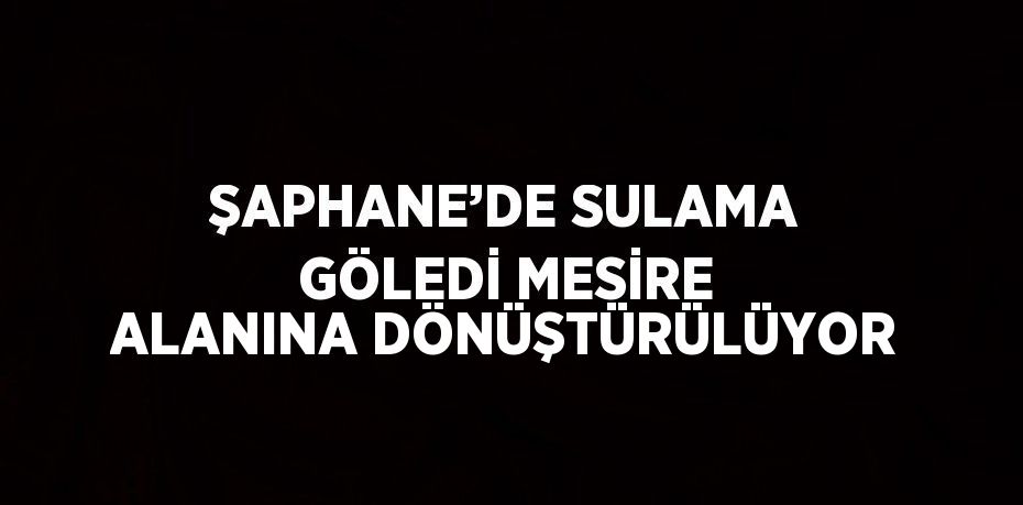 ŞAPHANE’DE SULAMA GÖLEDİ MESİRE ALANINA DÖNÜŞTÜRÜLÜYOR