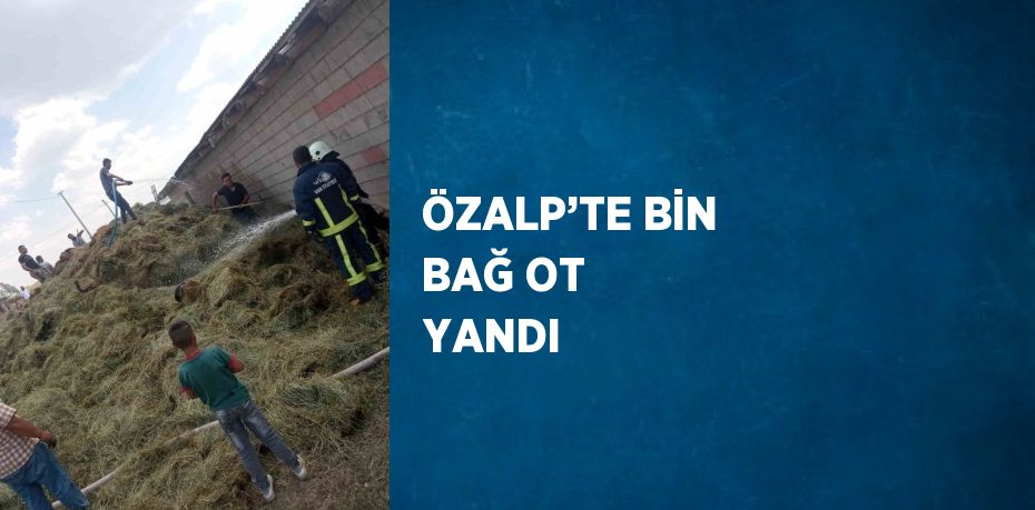 ÖZALP’TE BİN BAĞ OT YANDI