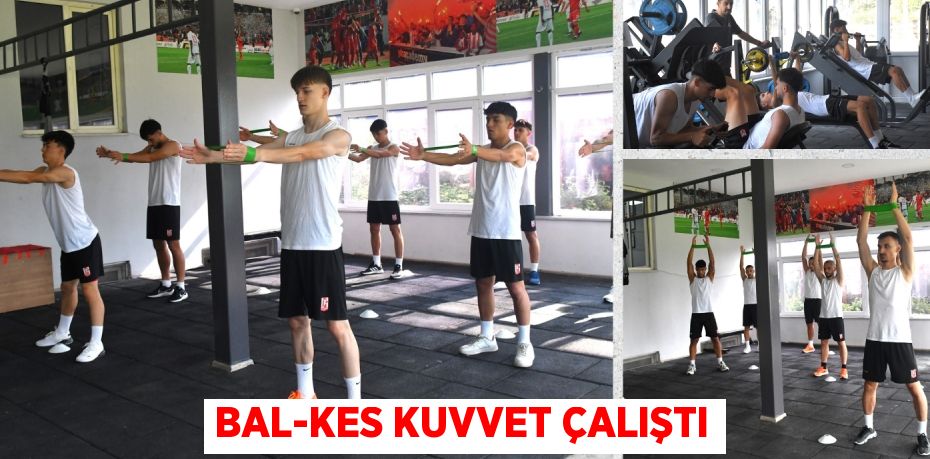 BAL-KES KUVVET ÇALIŞTI