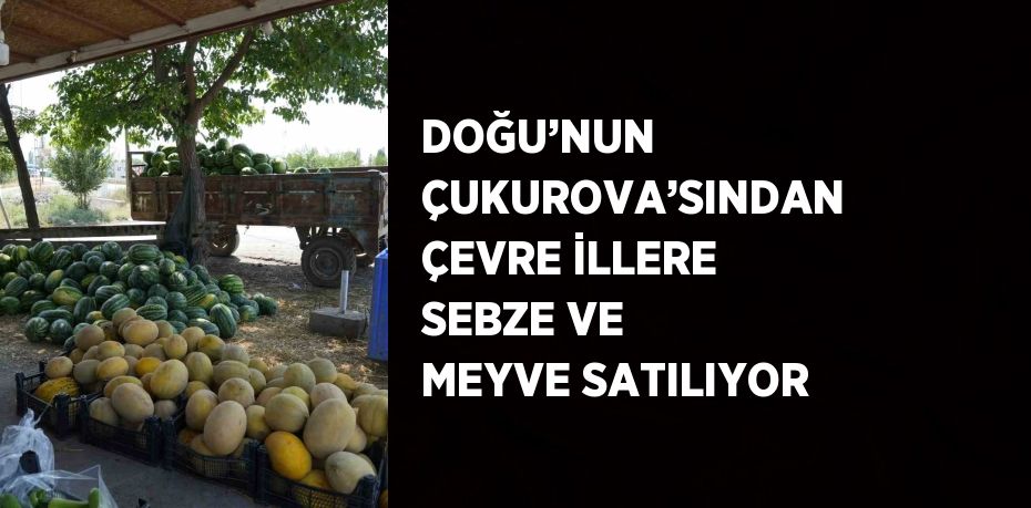 DOĞU’NUN ÇUKUROVA’SINDAN ÇEVRE İLLERE SEBZE VE MEYVE SATILIYOR