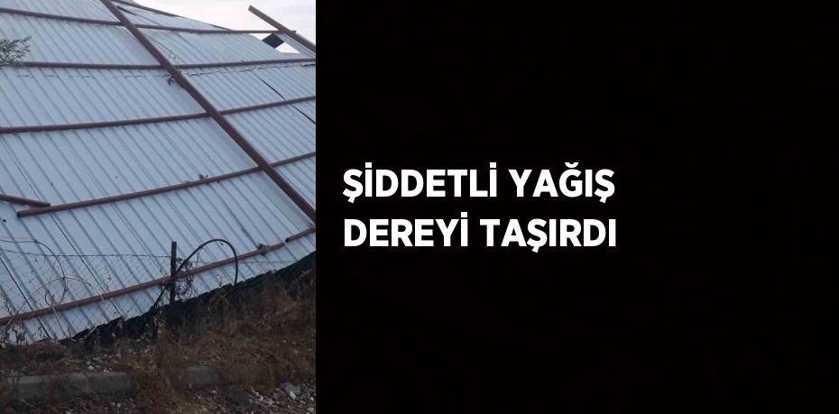 ŞİDDETLİ YAĞIŞ DEREYİ TAŞIRDI