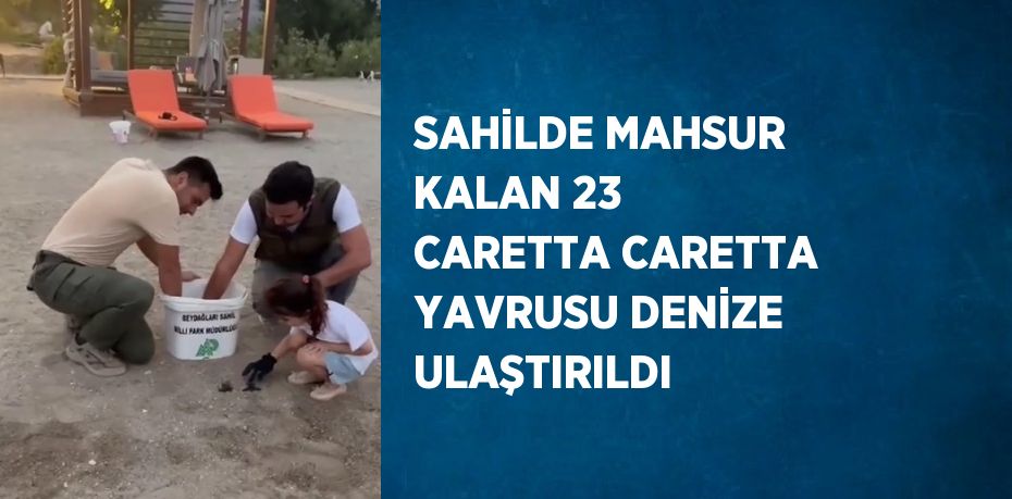 SAHİLDE MAHSUR KALAN 23 CARETTA CARETTA YAVRUSU DENİZE ULAŞTIRILDI