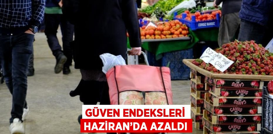 GÜVEN ENDEKSLERİ HAZİRAN’DA AZALDI