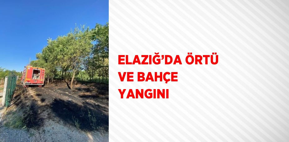 ELAZIĞ’DA ÖRTÜ VE BAHÇE YANGINI