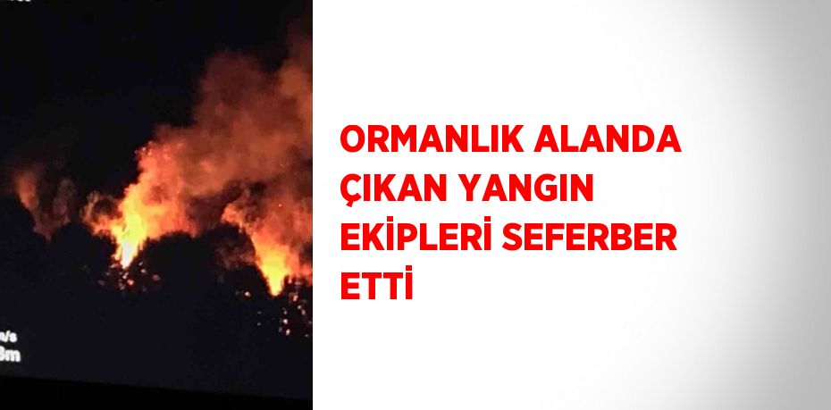 ORMANLIK ALANDA ÇIKAN YANGIN EKİPLERİ SEFERBER ETTİ