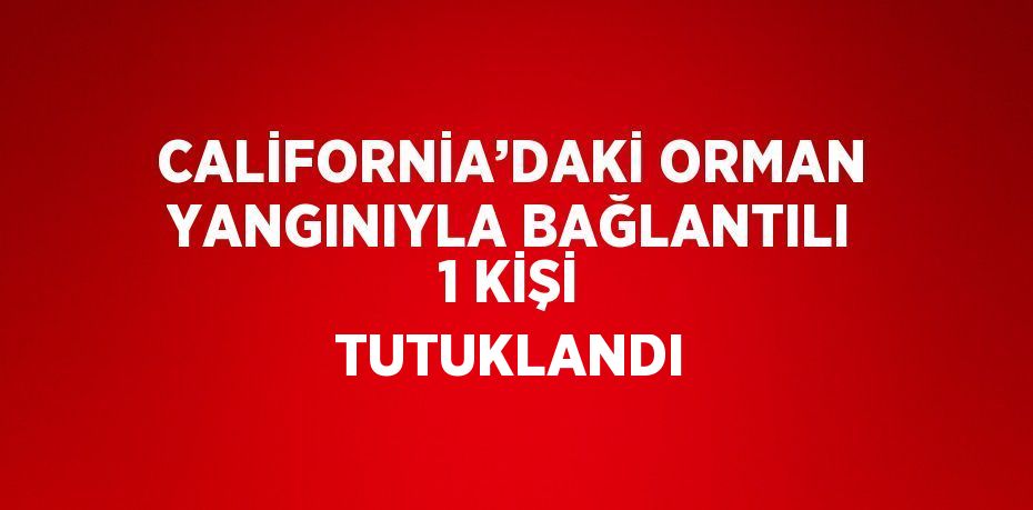 CALİFORNİA’DAKİ ORMAN YANGINIYLA BAĞLANTILI 1 KİŞİ TUTUKLANDI