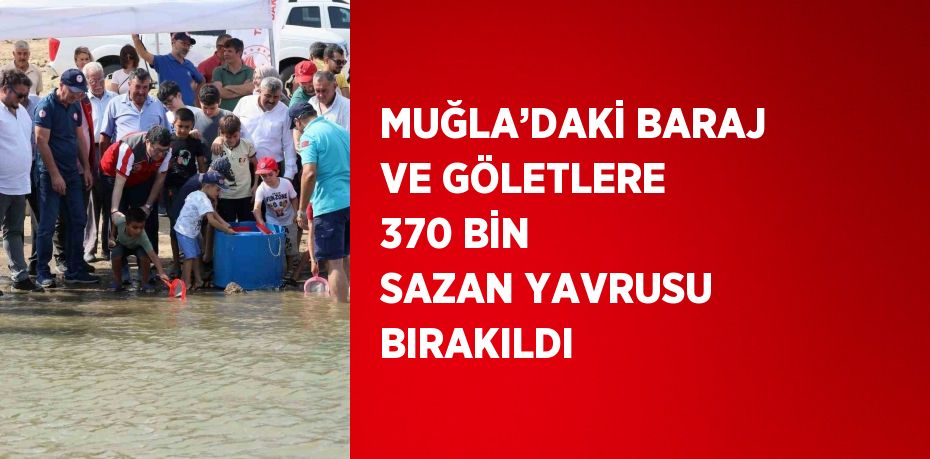 MUĞLA’DAKİ BARAJ VE GÖLETLERE 370 BİN SAZAN YAVRUSU BIRAKILDI