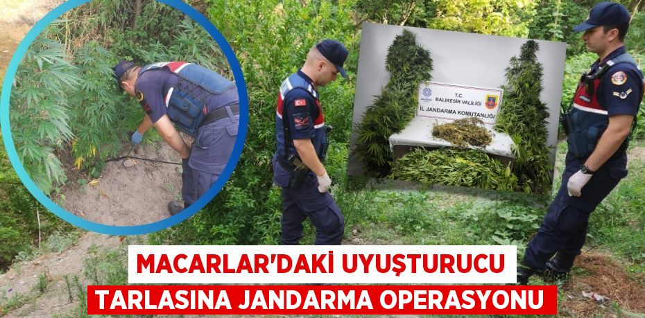 MACARLAR’DAKİ UYUŞTURUCU TARLASINA JANDARMA OPERASYONU