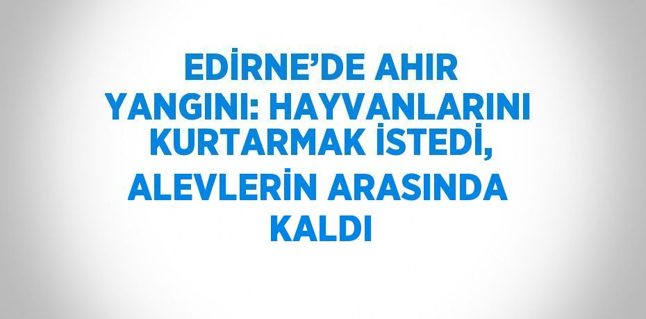 EDİRNE’DE AHIR YANGINI: HAYVANLARINI KURTARMAK İSTEDİ, ALEVLERİN ARASINDA KALDI