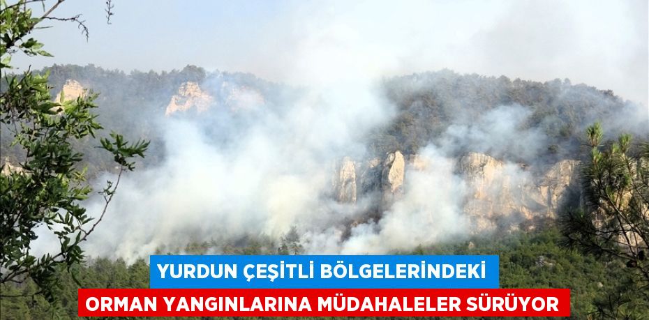 Yurdun çeşitli bölgelerindeki orman yangınlarına müdahaleler sürüyor