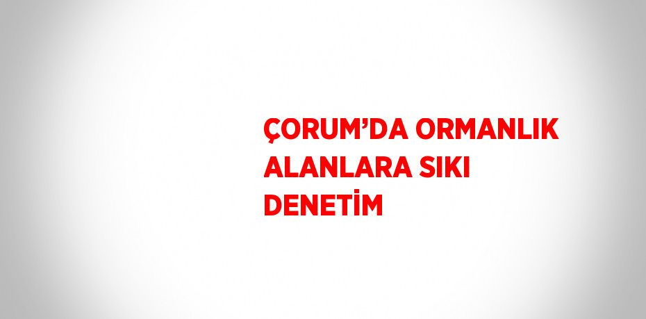 ÇORUM’DA ORMANLIK ALANLARA SIKI DENETİM