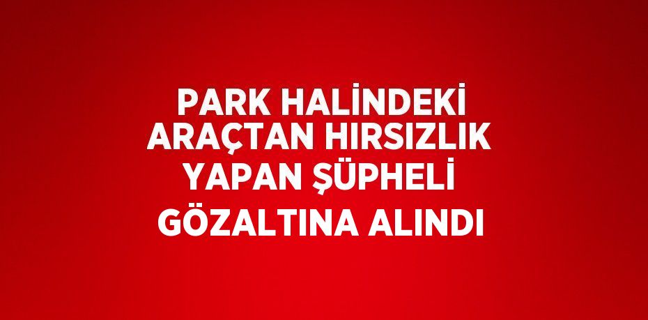 PARK HALİNDEKİ ARAÇTAN HIRSIZLIK YAPAN ŞÜPHELİ GÖZALTINA ALINDI
