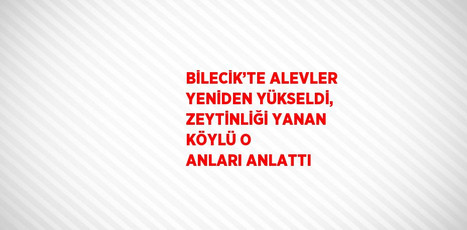 BİLECİK’TE ALEVLER YENİDEN YÜKSELDİ, ZEYTİNLİĞİ YANAN KÖYLÜ O ANLARI ANLATTI