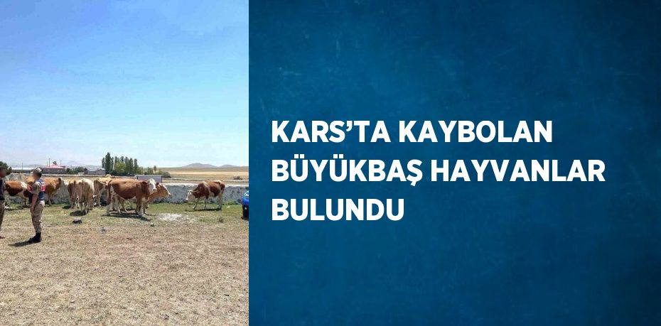 KARS’TA KAYBOLAN BÜYÜKBAŞ HAYVANLAR BULUNDU