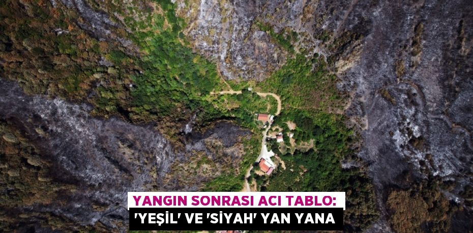Yangın sonrası acı tablo: ’Yeşil’ ve ’siyah’ yan yana
