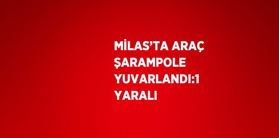 MİLAS’TA ARAÇ ŞARAMPOLE YUVARLANDI:1 YARALI