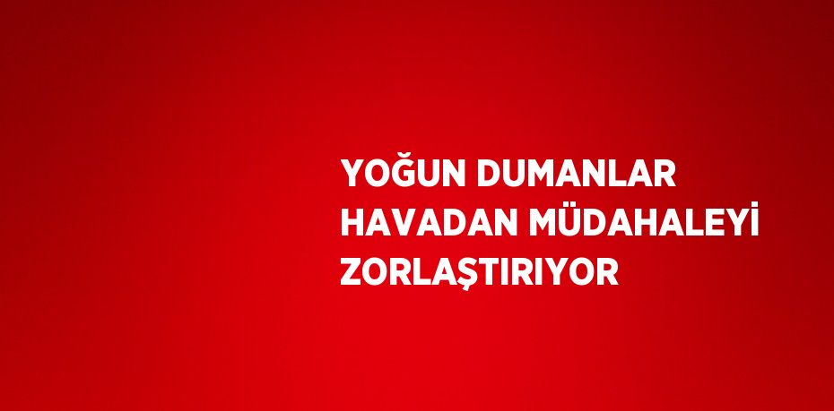 YOĞUN DUMANLAR HAVADAN MÜDAHALEYİ ZORLAŞTIRIYOR