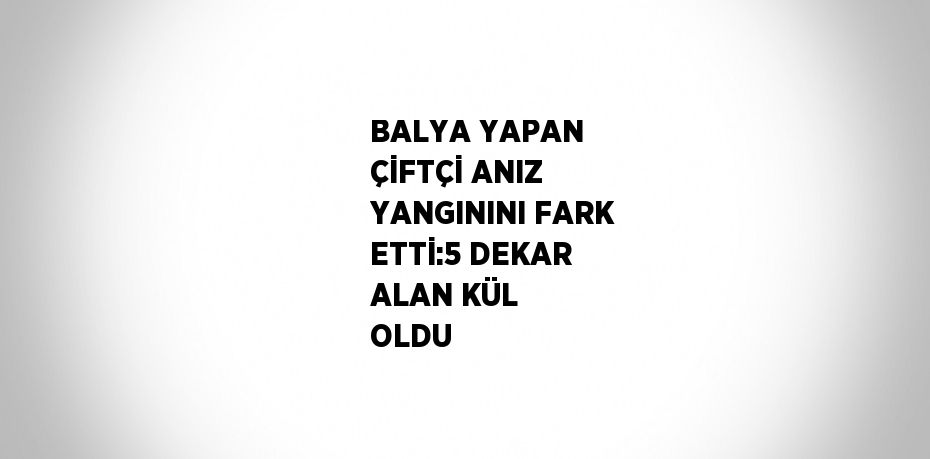 BALYA YAPAN ÇİFTÇİ ANIZ YANGININI FARK ETTİ:5 DEKAR ALAN KÜL OLDU