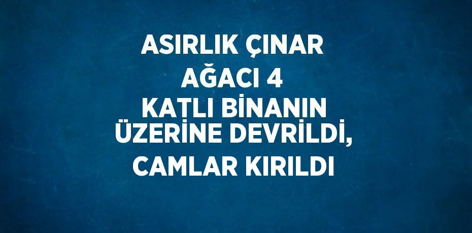 ASIRLIK ÇINAR AĞACI 4 KATLI BİNANIN ÜZERİNE DEVRİLDİ, CAMLAR KIRILDI