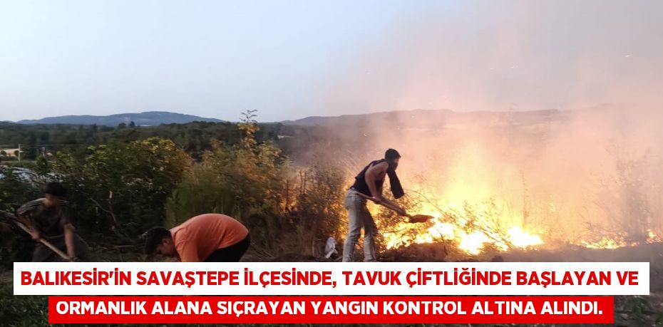 Balıkesir'in Savaştepe ilçesinde, tavuk çiftliğinde başlayan ve ormanlık alana sıçrayan yangın kontrol altına alındı.