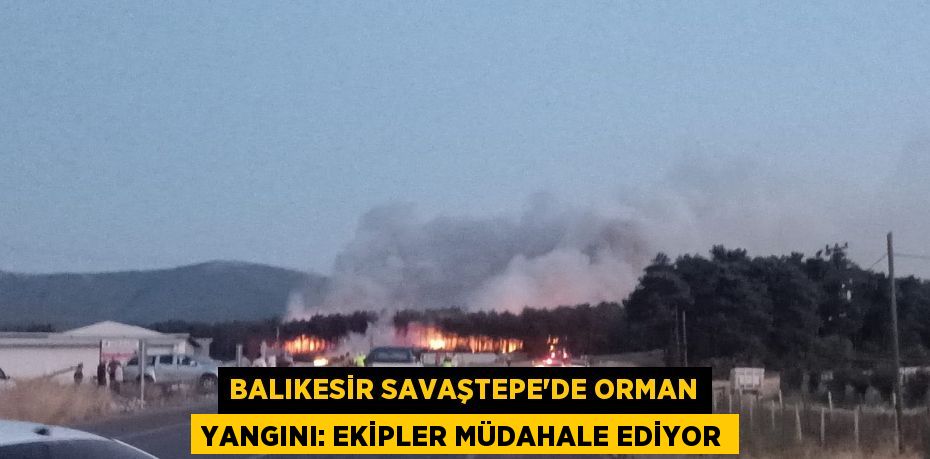 Balıkesir Savaştepe'de Orman Yangını: Ekipler Müdahale Ediyor