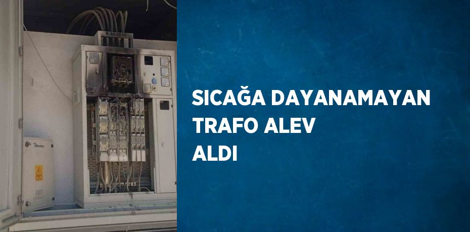 SICAĞA DAYANAMAYAN TRAFO ALEV ALDI