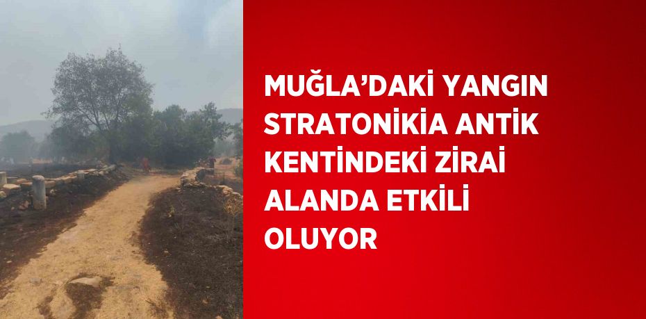 MUĞLA’DAKİ YANGIN STRATONİKİA ANTİK KENTİNDEKİ ZİRAİ ALANDA ETKİLİ OLUYOR