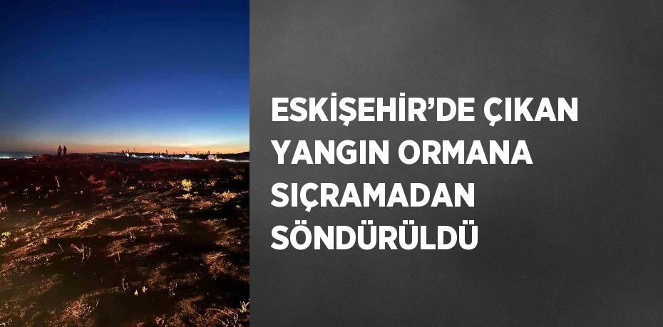 ESKİŞEHİR’DE ÇIKAN YANGIN ORMANA SIÇRAMADAN SÖNDÜRÜLDÜ