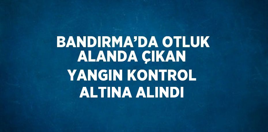 BANDIRMA’DA OTLUK ALANDA ÇIKAN YANGIN KONTROL ALTINA ALINDI