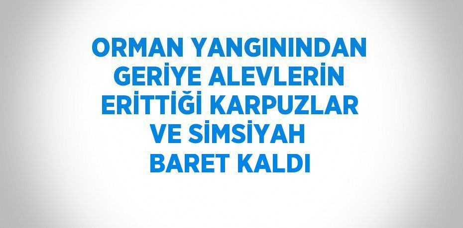 ORMAN YANGININDAN GERİYE ALEVLERİN ERİTTİĞİ KARPUZLAR VE SİMSİYAH BARET KALDI