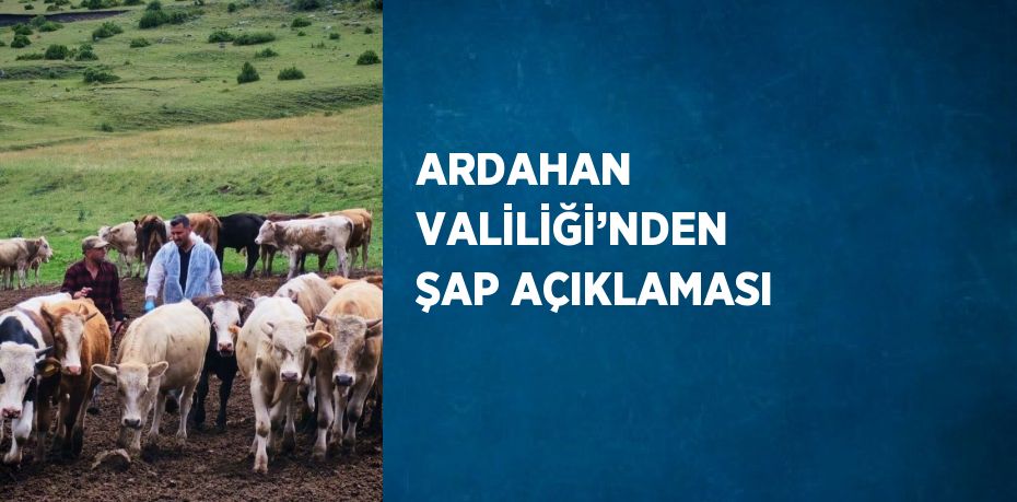 ARDAHAN VALİLİĞİ’NDEN ŞAP AÇIKLAMASI