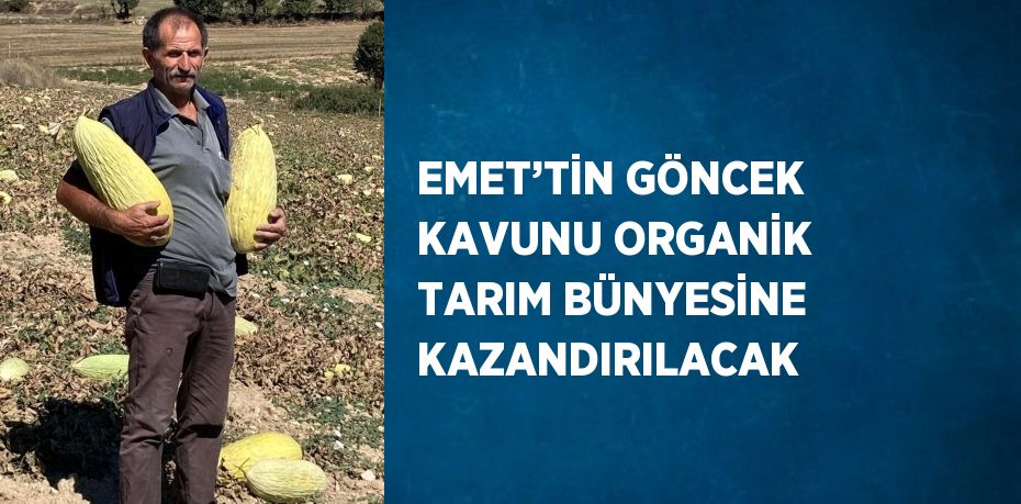 EMET’TİN GÖNCEK KAVUNU ORGANİK TARIM BÜNYESİNE KAZANDIRILACAK