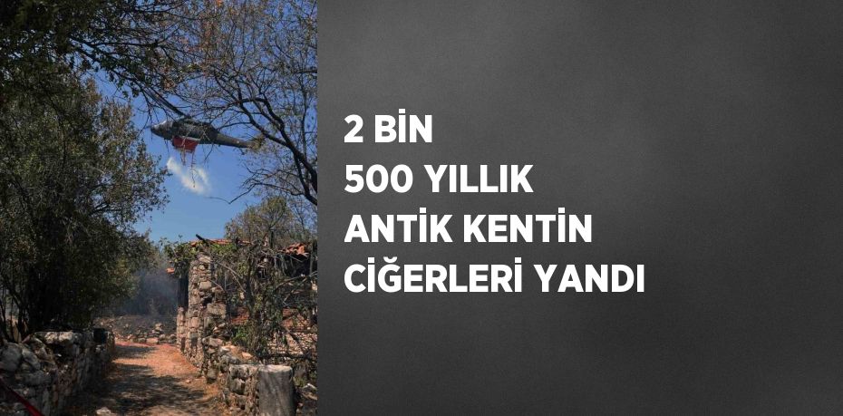 2 BİN 500 YILLIK ANTİK KENTİN CİĞERLERİ YANDI