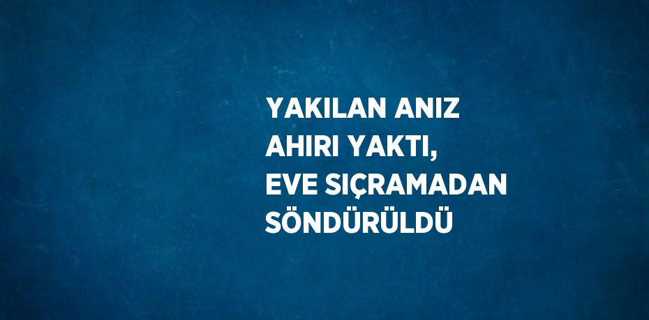 YAKILAN ANIZ AHIRI YAKTI, EVE SIÇRAMADAN SÖNDÜRÜLDÜ