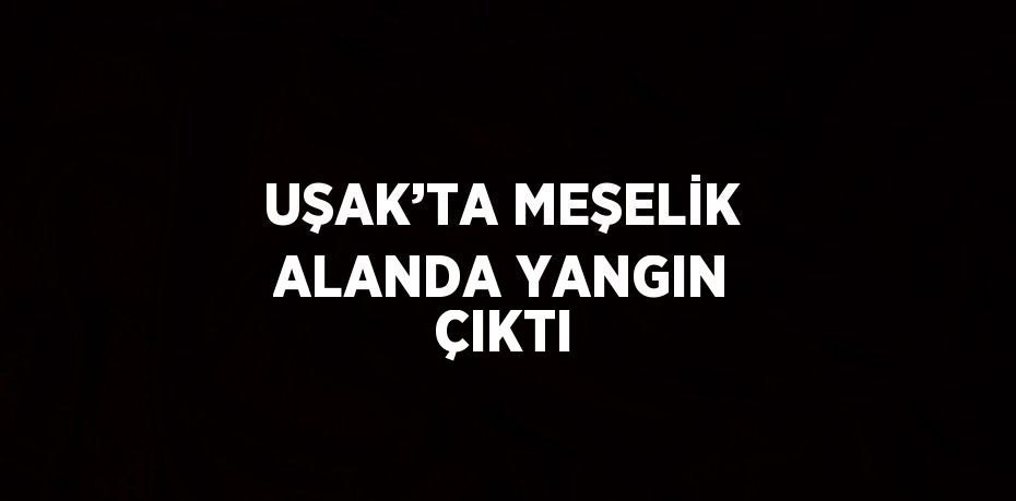 UŞAK’TA MEŞELİK ALANDA YANGIN ÇIKTI