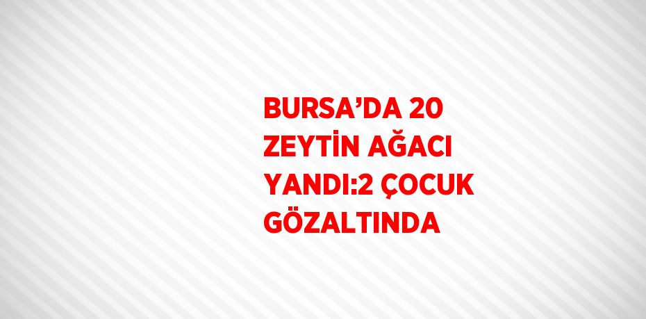 BURSA’DA 20 ZEYTİN AĞACI YANDI:2 ÇOCUK GÖZALTINDA