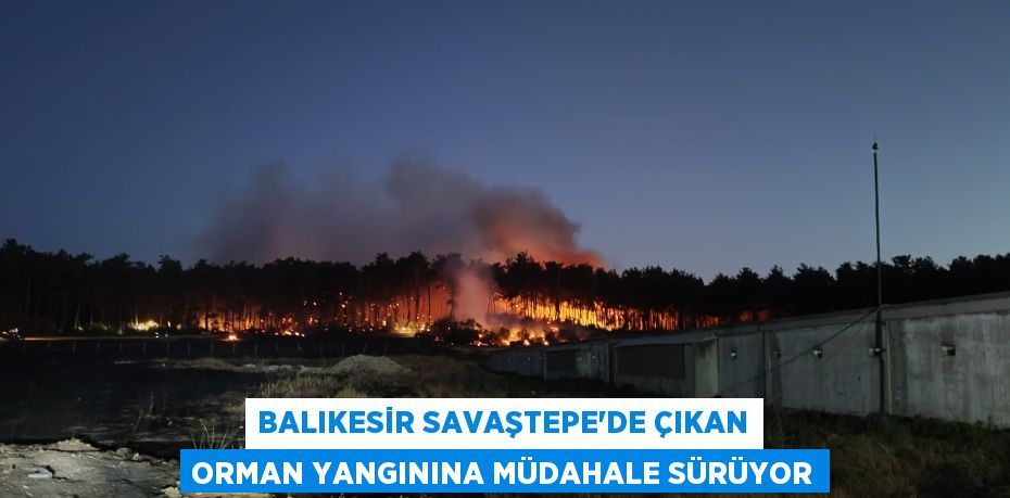 Balıkesir Savaştepe'de çıkan orman yangınına müdahale sürüyor