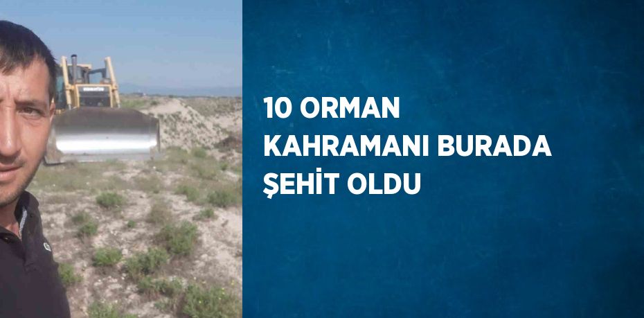 10 ORMAN KAHRAMANI BURADA ŞEHİT OLDU