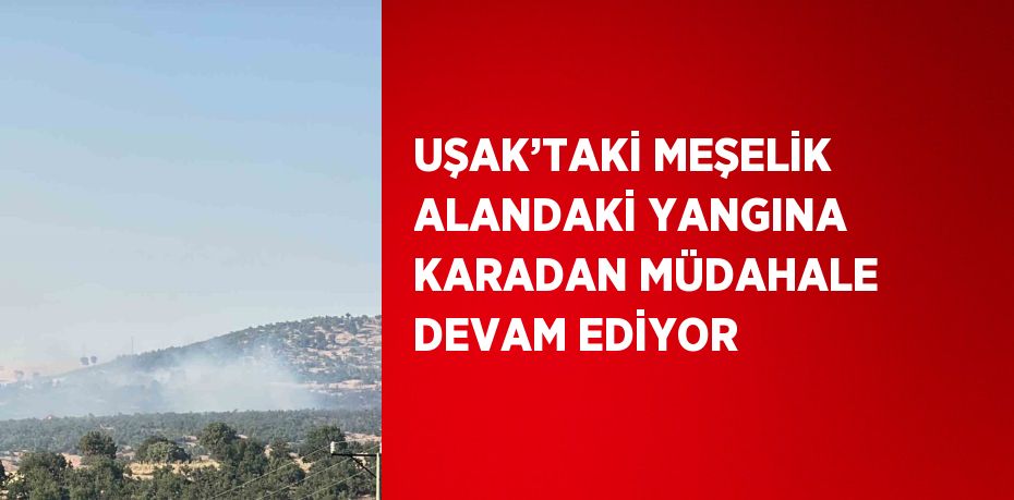 UŞAK’TAKİ MEŞELİK ALANDAKİ YANGINA KARADAN MÜDAHALE DEVAM EDİYOR