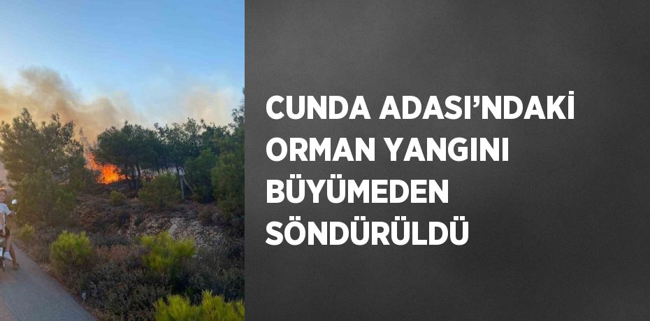 CUNDA ADASI’NDAKİ ORMAN YANGINI BÜYÜMEDEN SÖNDÜRÜLDÜ