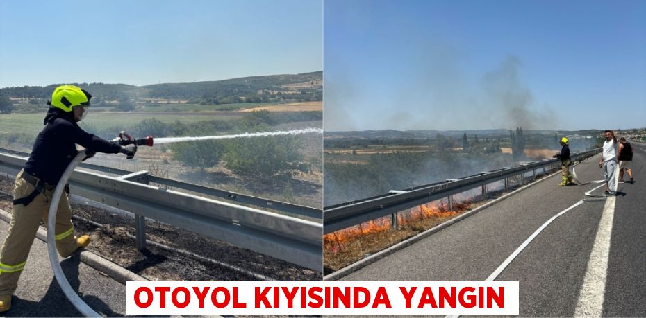 Otoyol kıyısında yangın