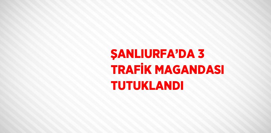 ŞANLIURFA’DA 3 TRAFİK MAGANDASI TUTUKLANDI